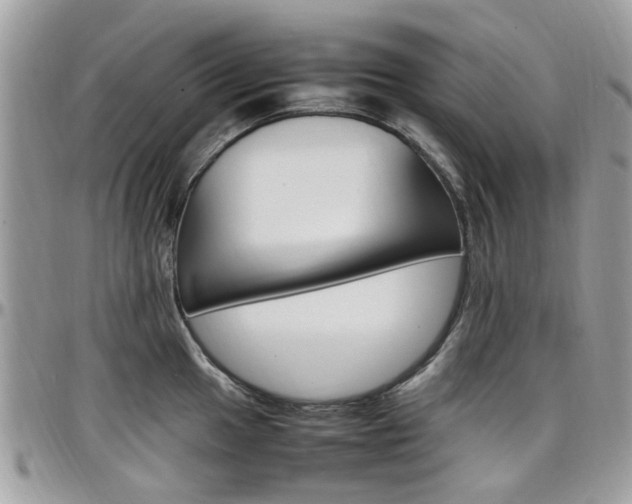 X0000097981049200803241038