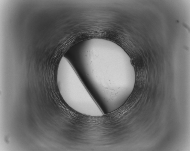 X0000097981058200803241037