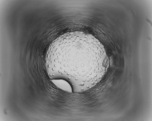 X0000097981059200803241037
