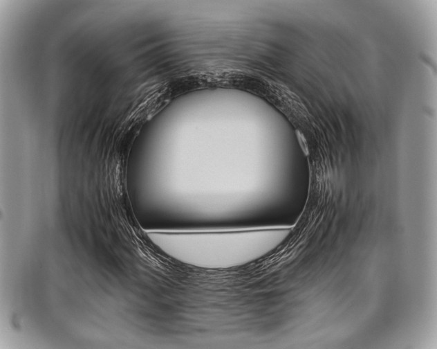 X0000097981060200803241037