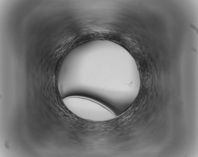 X0000097981061200803241037