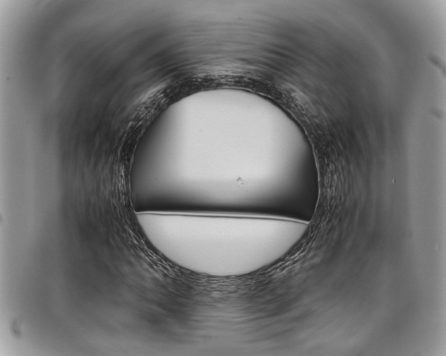 X0000097981062200803241037