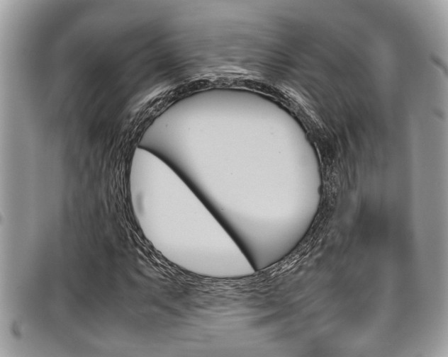 X0000097981063200803241037