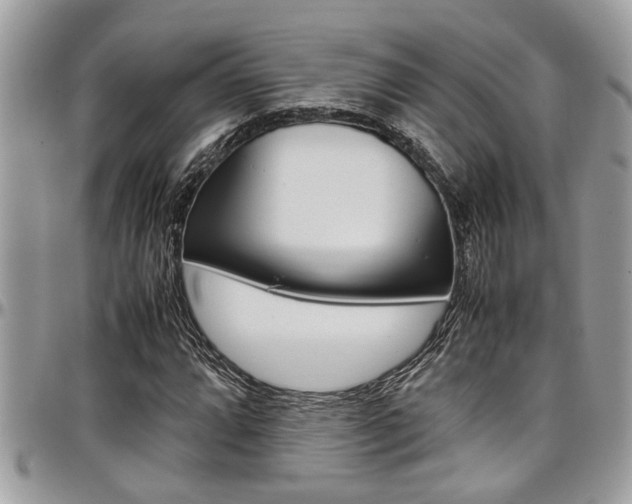 X0000097981064200803241037