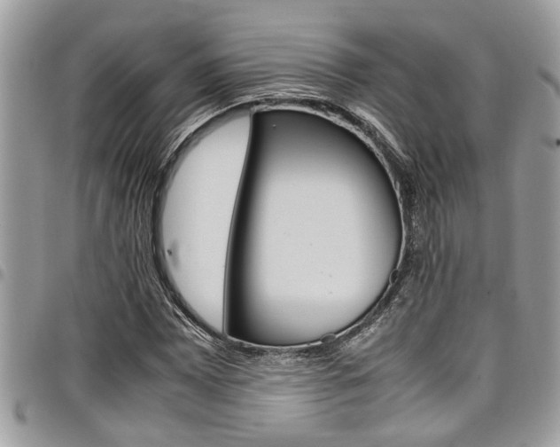 X0000097981065200803241037