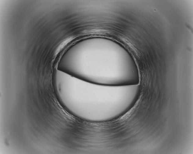 X0000097981066200803241037