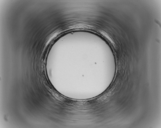 X0000097981067200803241037