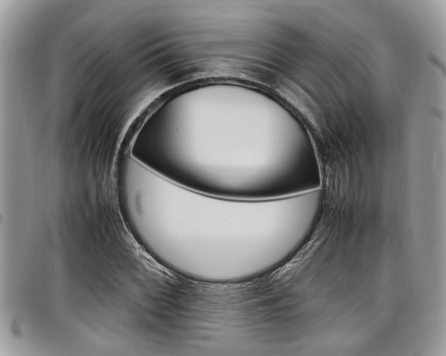 X0000097981068200803241037