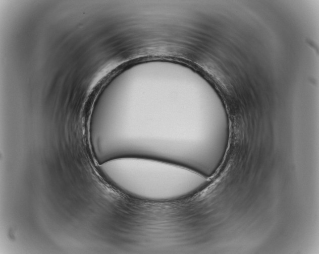 X0000097981070200803241037