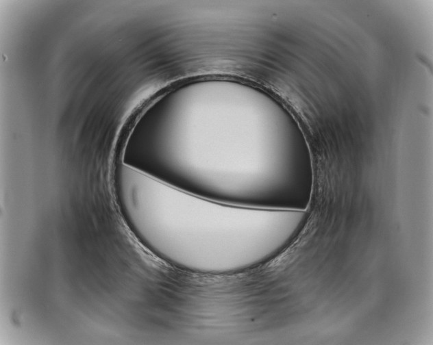 X0000097981072200803241037