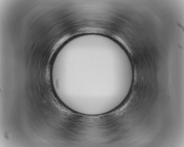 X0000097981074200803241037
