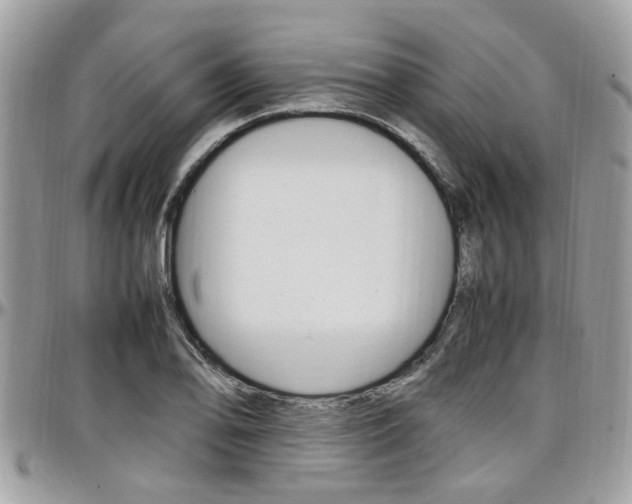 X0000097981078200803241037