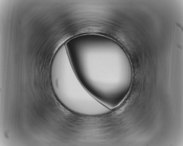 X0000097981081200803241037