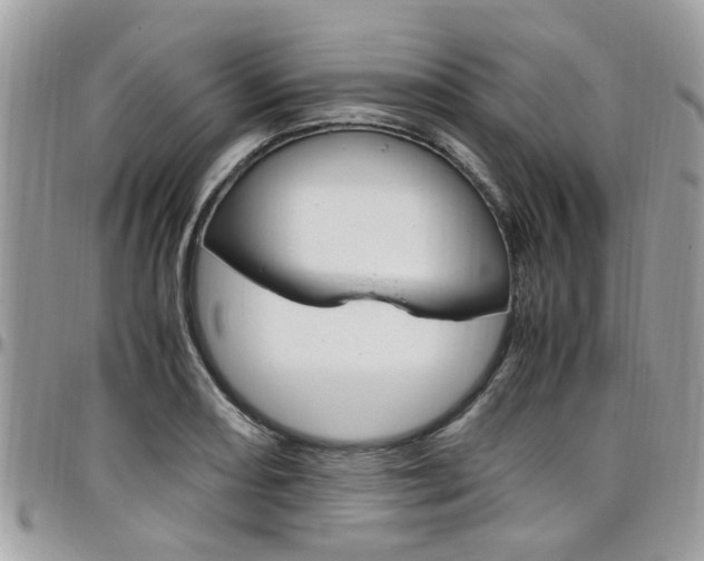 X0000097981082200803241037