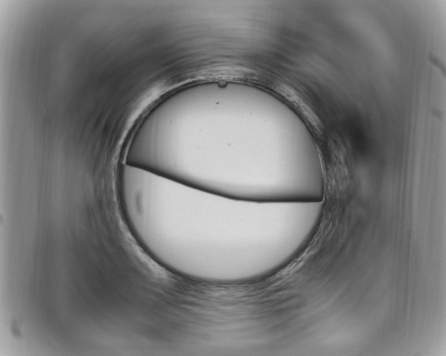 X0000097981083200803241037