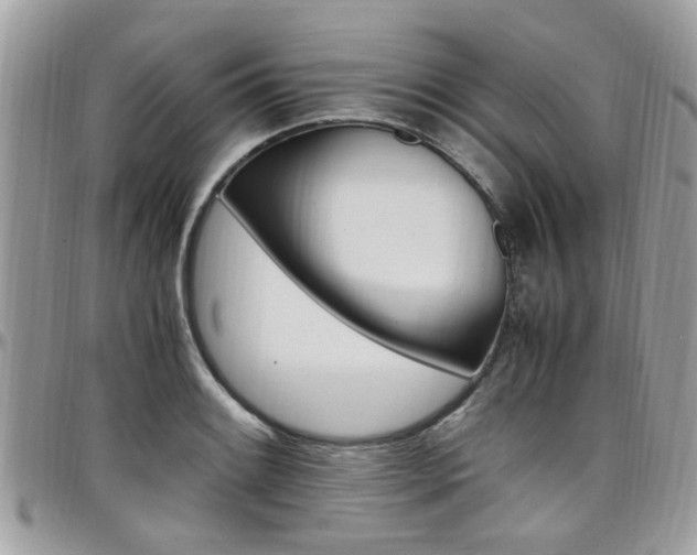 X0000097981084200803241037