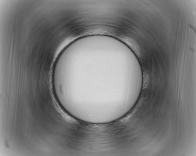 X0000097981086200803241037