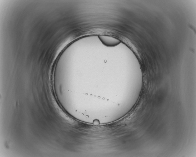 X0000097981091200803241036