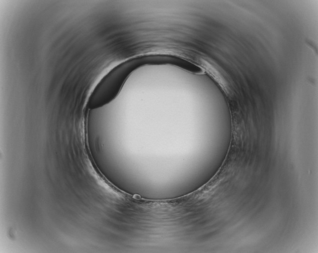 X0000097981092200803241036