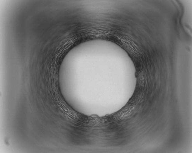 X0000097981105200803241035