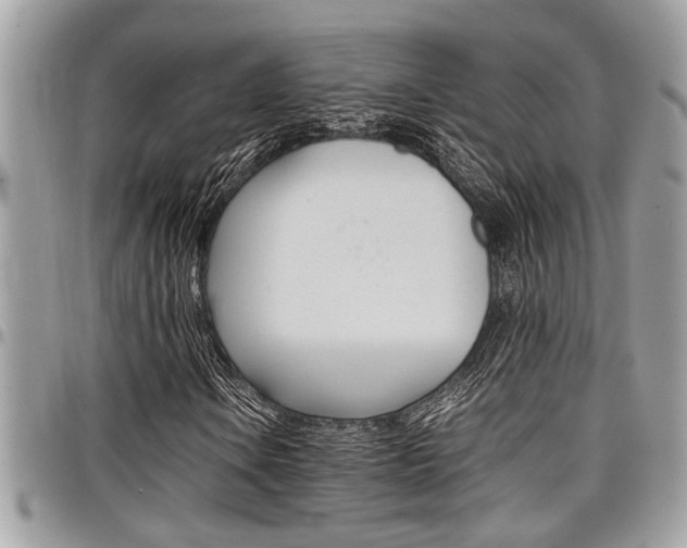 X0000097981106200803241035