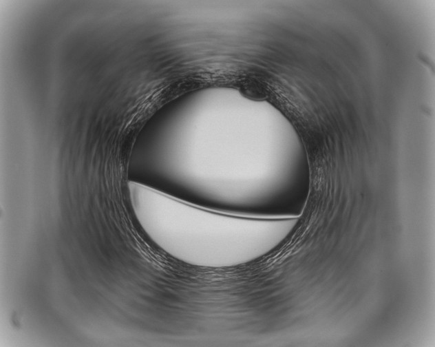 X0000097981108200803241035