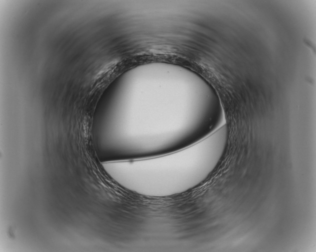 X0000097981110200803241035
