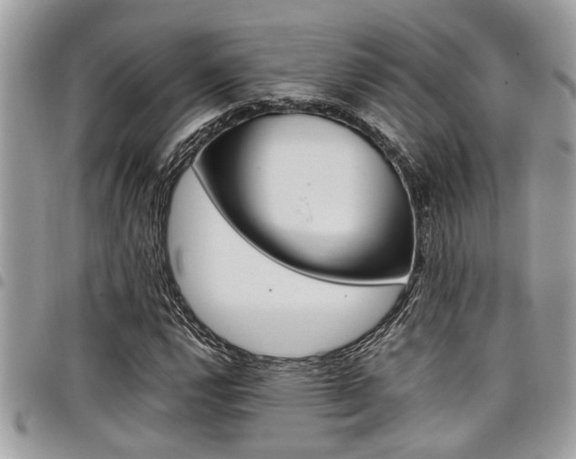X0000097981112200803241035