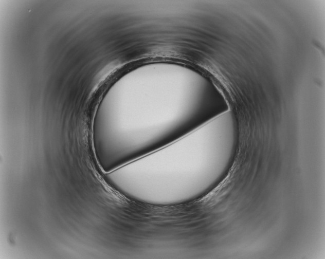 X0000097981115200803241035