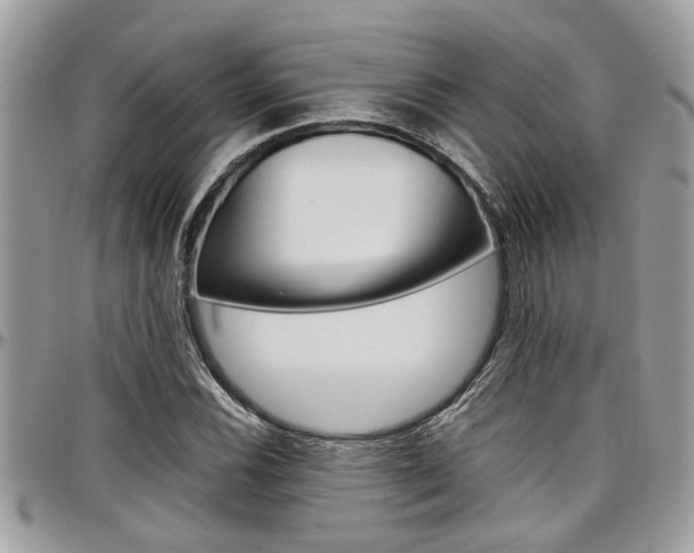 X0000097981116200803241035