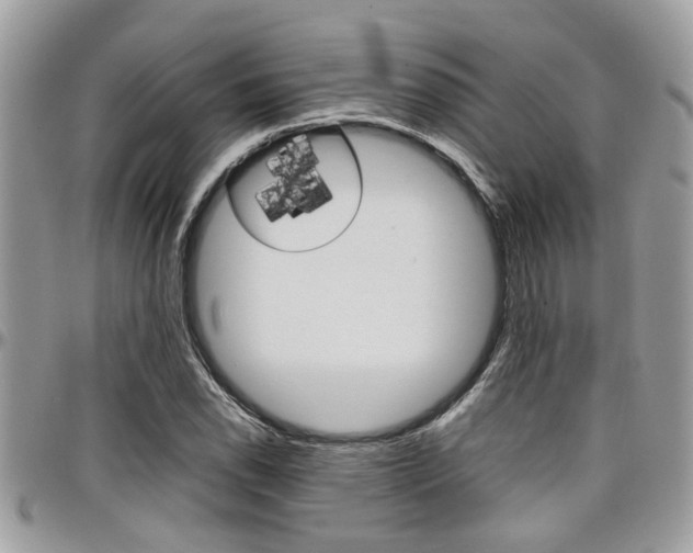 X0000097981118200803241036