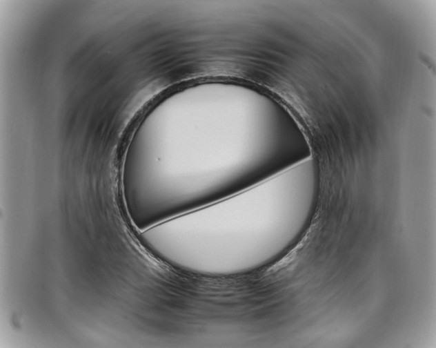 X0000097981119200803241036