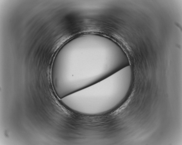 X0000097981121200803241036
