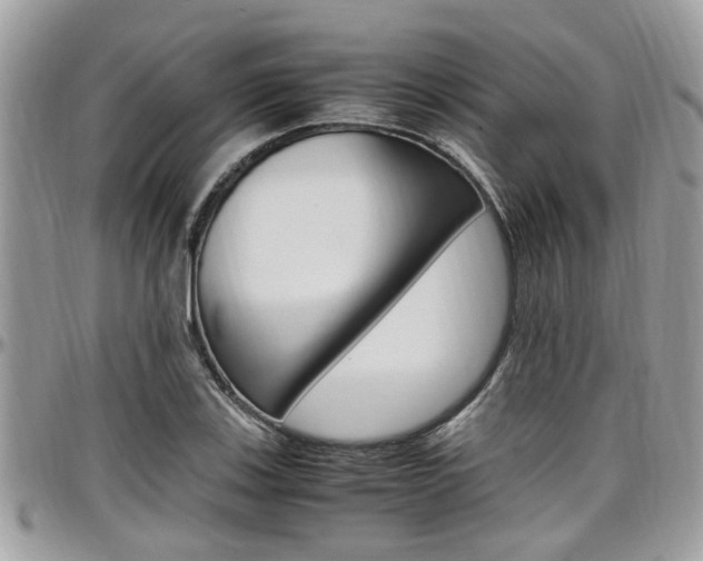 X0000097981123200803241036