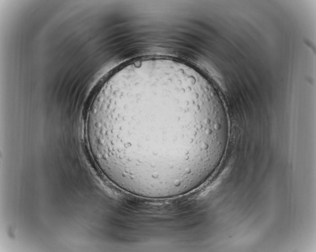 X0000097981125200803241036