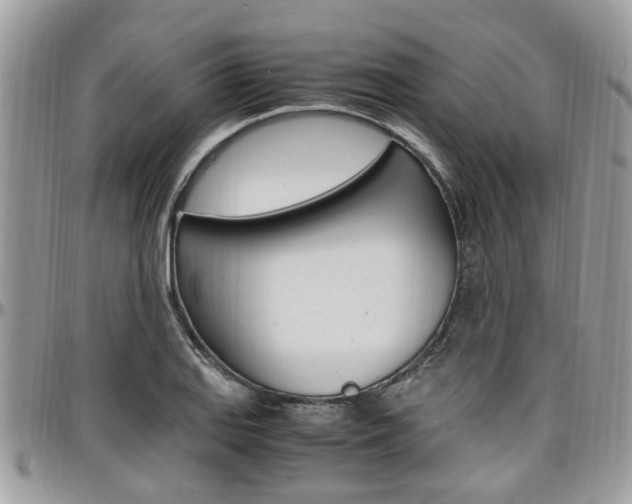 X0000097981127200803241036