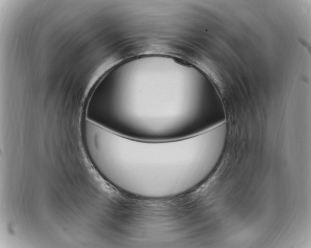 X0000097981138200803241036