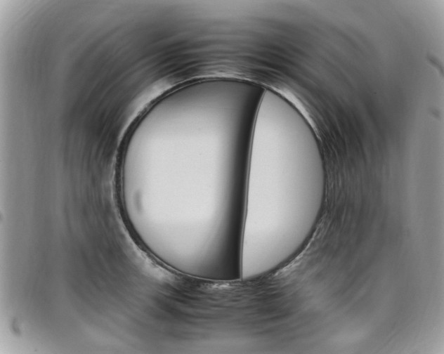 X0000097981139200803241036