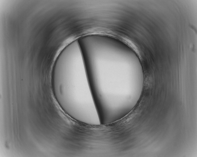 X0000097981146200803241036
