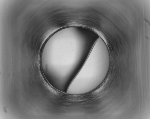 X0000097981149200803241036