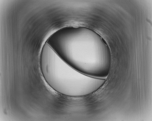 X0000097981152200803241036