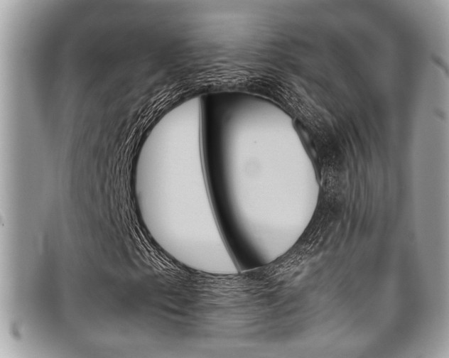 X0000097981153200803241035