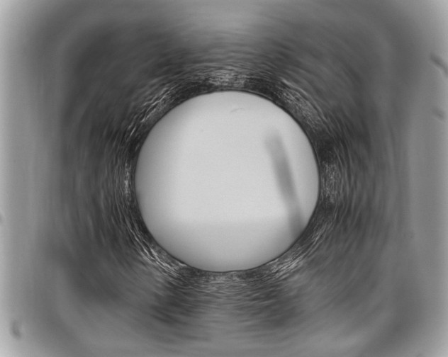 X0000097981154200803241035