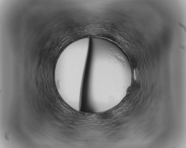 X0000097981155200803241035
