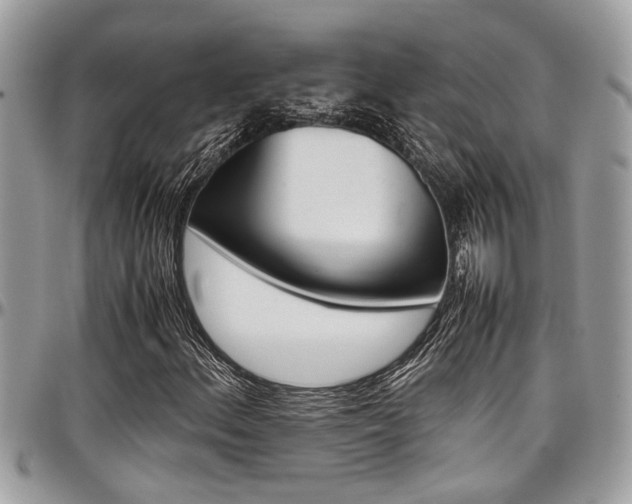 X0000097981156200803241035