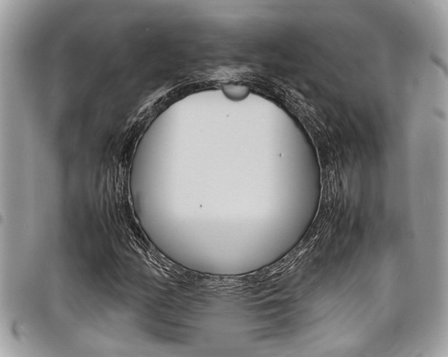 X0000097981158200803241035