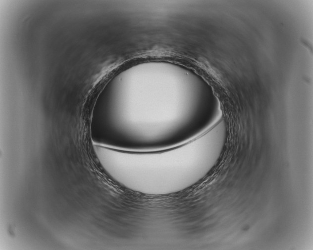X0000097981160200803241035