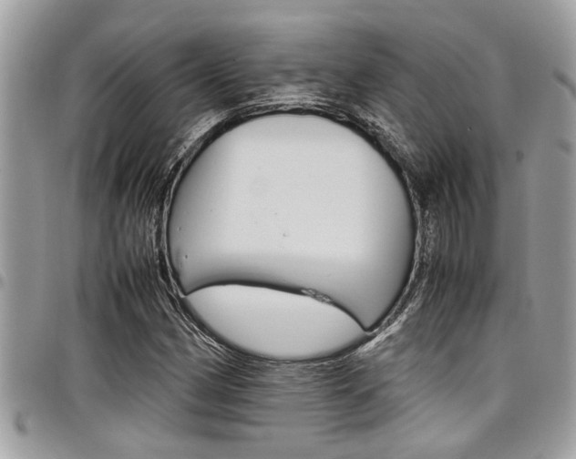 X0000097981162200803241035