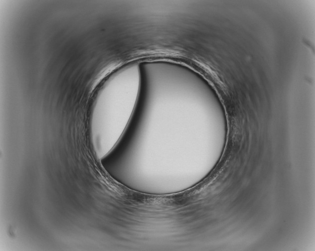 X0000097981163200803241035