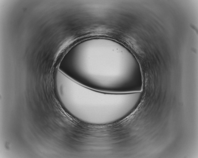 X0000097981164200803241035